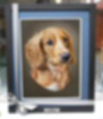 Thumbnail: Coloured Pet Portrait