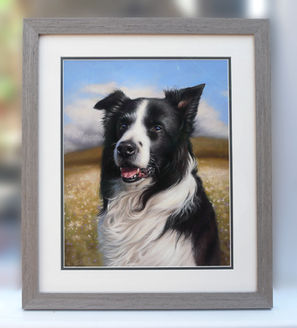 Collie drawing Grace Murray Rowley