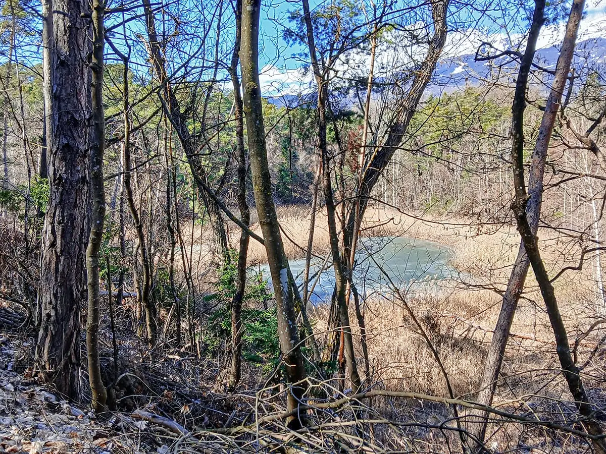 Parc naturel Pfyn-Finges, Sierre, alpes Valaisannes, Switzerland