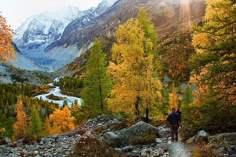 Couleurs d'automne