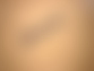 Onorare i Partners del passato