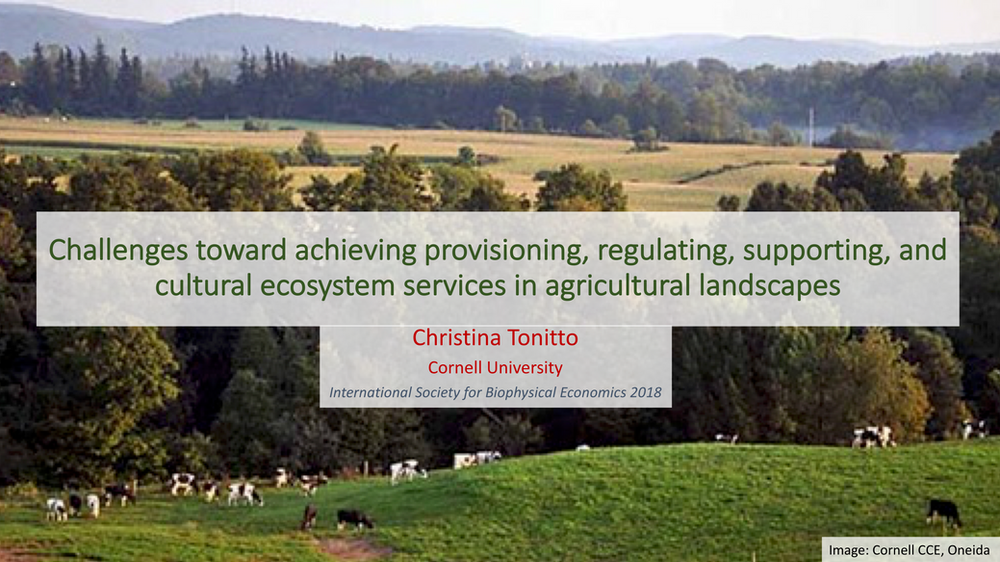 Achieving provisioning, regulating, supporting, and cultural ecosystem