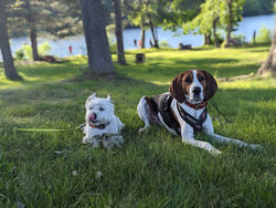 PXL_20230622_224303832.PORTRAIT