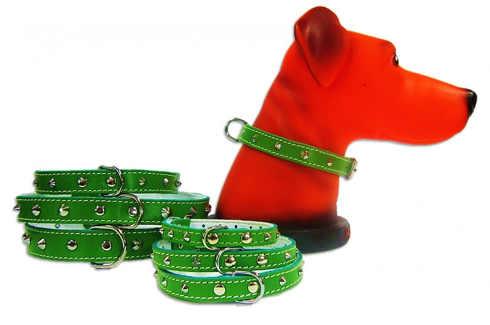 Миниатюра: PET EXPERT КАИШКА PASLA/TINTE