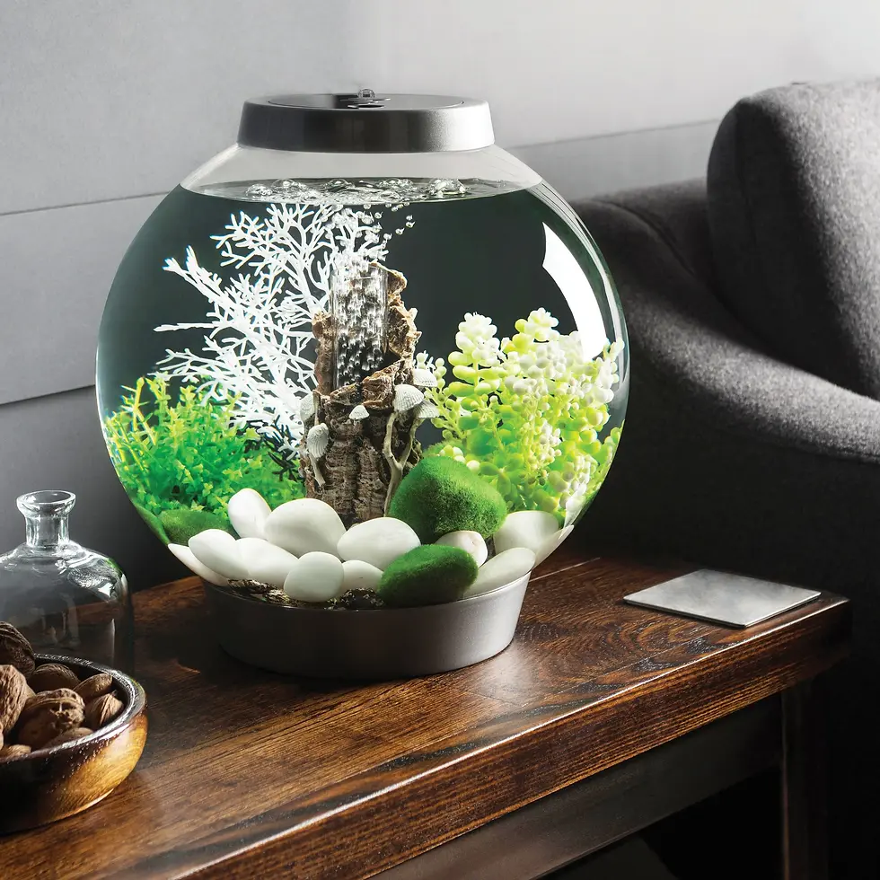 Миниатюра: biOrb CLASSIC 15 LED – аквариум за рибки