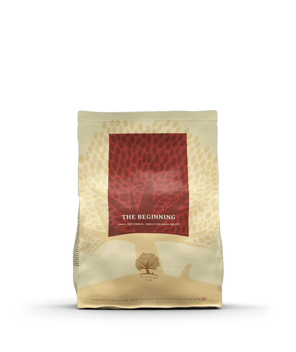 ESSENTIAL THE BEGINNING