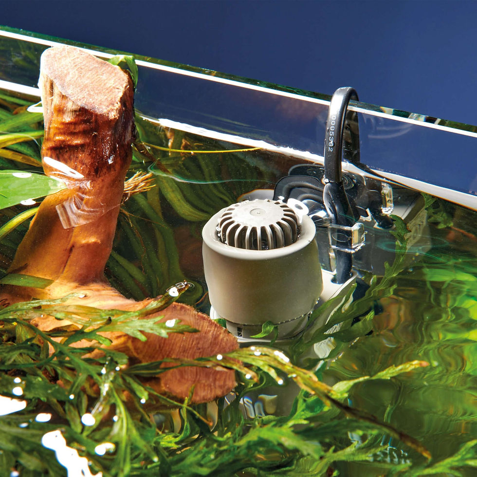 Миниатюра: Oase CrystalSkim скимер за аквариум