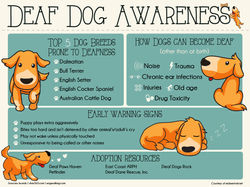 Deaf Dog Awareness Week