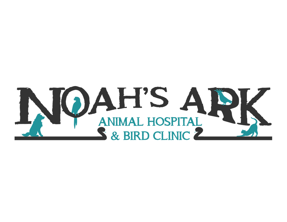 Noag's Ark Animal Hosptial