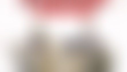 Se questa non è violenza...