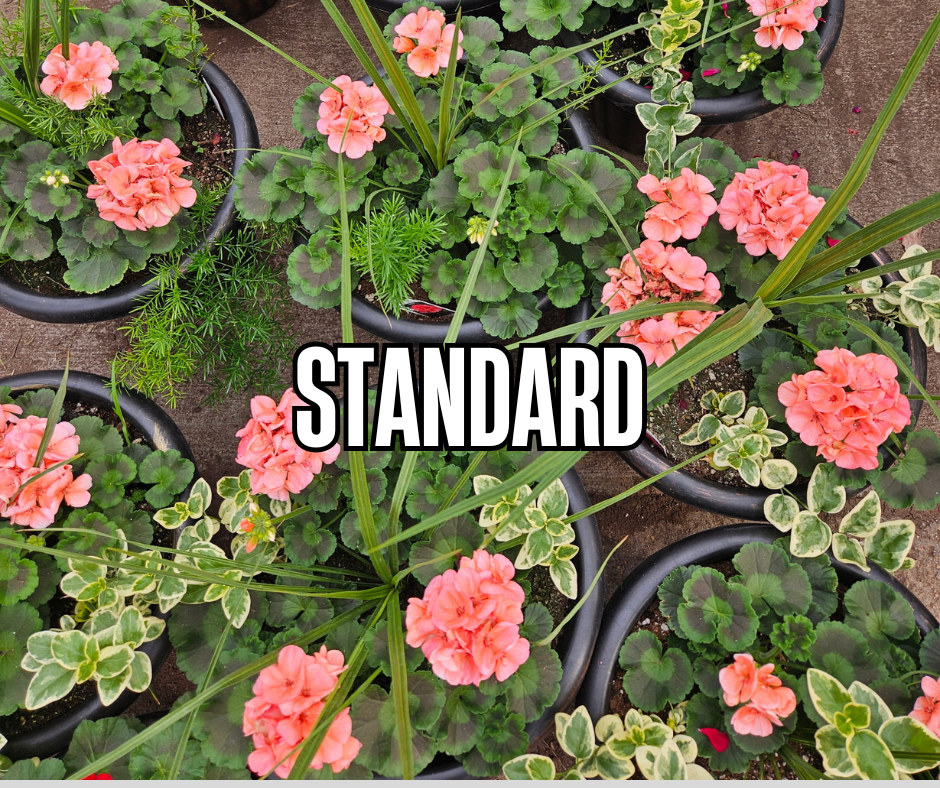 Thumbnail: Planter Subscription 