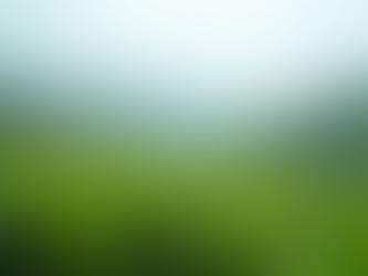 Discover Munnar's Hidden Gems: 5 Must-Visit Tea Estates