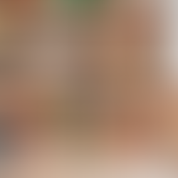 Enroll Your Child in Exclusive Montessori Classes Today