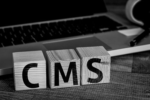 Content Management System (CMS)
