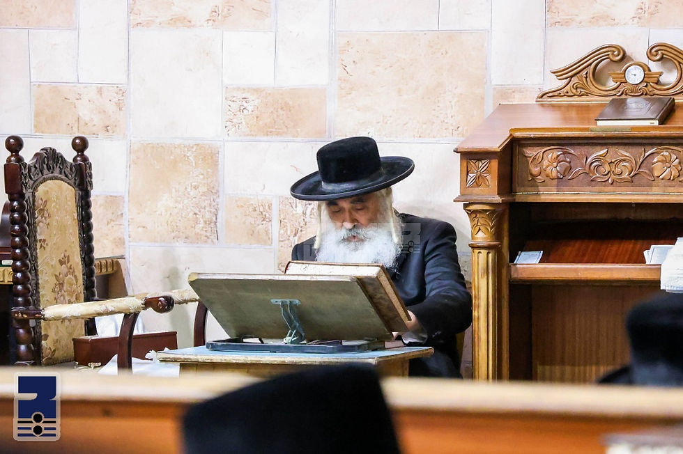 דַרְכֵי צִיּוֹן אֲבֵלוֹת • תשעה באב בחצר הקודש דושינסקיא