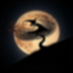 Every Halloween Cum Hag Wood gets an age old visitor. An Ai image by SPN