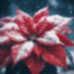 Poinsettia Close or a close Poinsettia? An Ai image by SPN