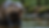 A wet Beaver, also Close. An Ai image by SPN