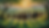 Savages running wild in County Down - an Ai image by SPN