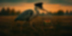 Here Heron the Postie is off to the Post Office to send his little pals to his mate by Air Mail. An Ai image by SPN