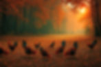 What's the pecking order here? Hmm, better than a bowl of cereal. An ai image by SPN