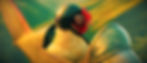 Rooster 3 to Control over, Control - go ahead over. Rooster 3 - just dropped all my eggs on the foxes, direct hits over. Control - well done Rooster 3, extra corn when you get back over and out. An AI image by SPN
