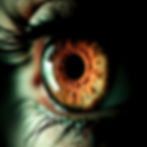 Dead Eye - the snipers best friend, focussed, sharp, determined. An Ai image by SPN