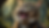 Someone's getting the rough side of his tongue. An Ai image by SPN
