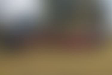 Domingo foi dia de aprendizado em Gravataí. Jaguars e Gravataí Spartans realizaram jogo treino.