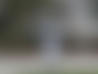 Cara a Cara: Conheça Totti - Viamão Raptors