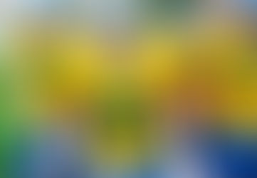 Desenvolvimento criativo tornam jerseys peças de coleção no futebol americano nacional