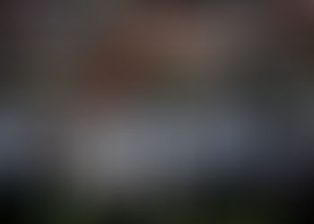 Mustangs realizará treinos abertos aos domingos para interessados.