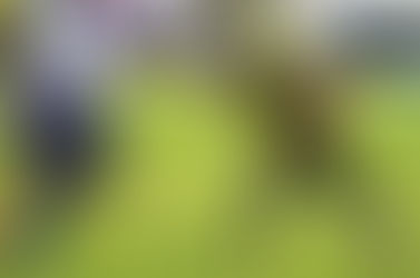 Cara a Cara: Conheça Thyagão - Porto Alegre Gorillas