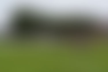 Buriers Football e Buriers Flag terão seletiva no próximo dia 18, saiba como participar: