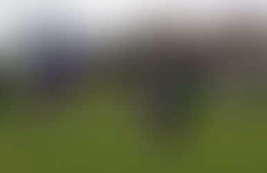 Gorillas vence de virada e garante vaga nas semifinais. Bulldogs confirma invencibilidade. Confira o