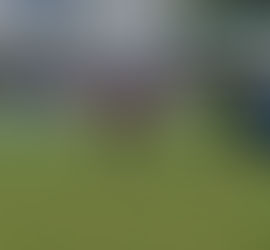 Em jogo importante pela Copa Sul, Nicolas do Canto será o Quarterback Starter do Lions