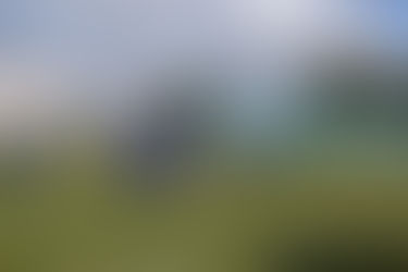 De virada, Chacais conquista a vitória fora de casa diante do Bento Snakes.