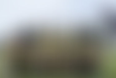 Time de flag feminino do Buriers é incorporado ao Gorillas