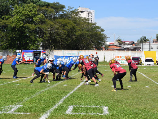 Balanço da semana: Gorillas e Lions vencem e lideram seus grupos no Gauchão