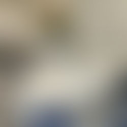 Sorocaba Vipers projeta ações sociais e estádio em reunião com a administração municipal