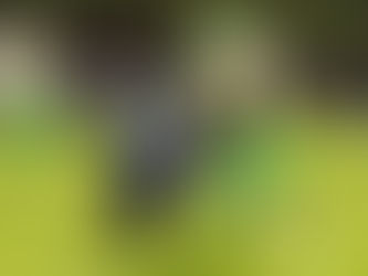 Cara a Cara: Conheça Bortoluzzi - Juventude F.A.