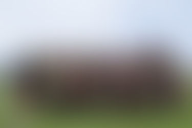 Confira os resultados deste sábado no futebol americano gaúcho: