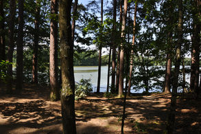 DSC_9987.jpg