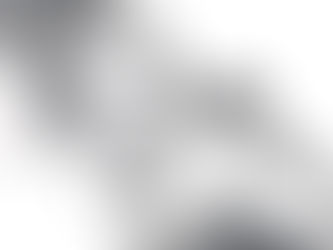 The Nancy Grace Roman Space Telescope