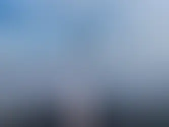 SpaceX Starship reaches Orbit!