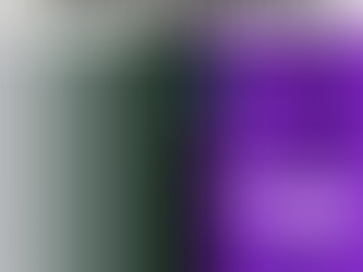 The SpaceInfo Newsletter - Issue 15