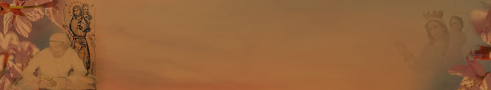 Banner smdlf website.jpg