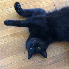 Sid