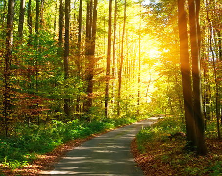 Seasons of Change: Five critical conversations for nonprofit leaders