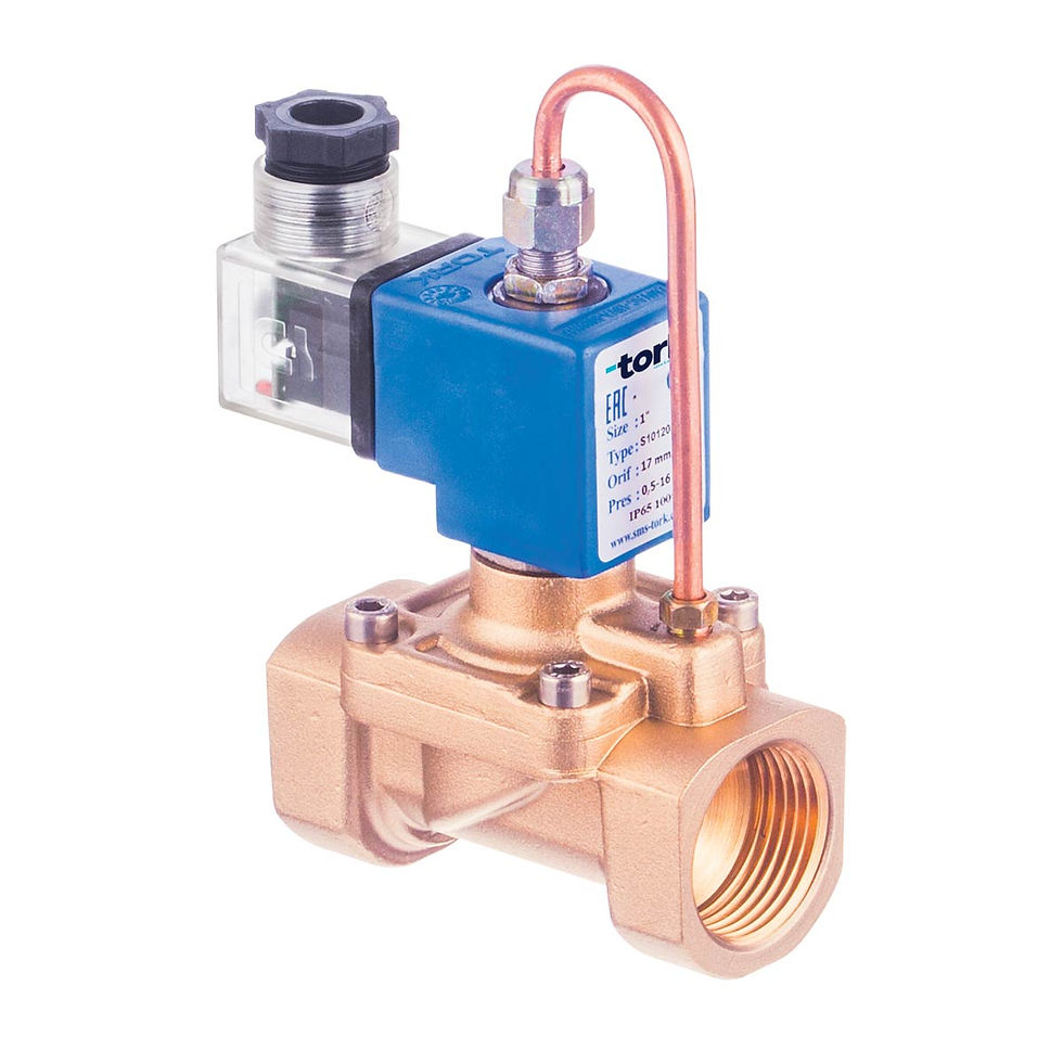 S50 Serisi Kompresör Solenoid Vanalar